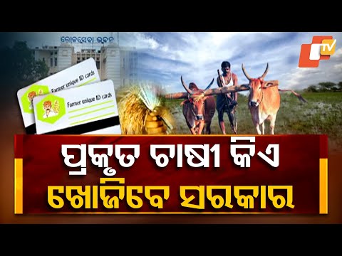 Non-Farmers to Be Excluded From Govt Schemes in Odisha, Genuine Farmers to Be Identified