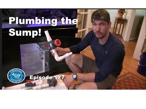 Plumbing the Sump - Part 2 of the 180 build series. Fincasters Episode 177