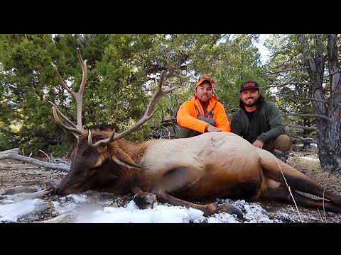 DIY Colorado Public Land Bull {Catch Clean Cook} Liver And Onions