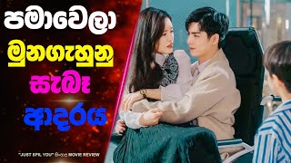 පමාවෙලා මුනගැහුනු සැබෑ ආදරය | Ending Explained Sinhala | Sinhala Movie Review