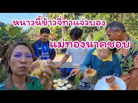 ข้าวจี่ทาแจ่ว แม่ทองนาคเคยทำเลี้ยงกำภู#บ้านาวนกำภูEp1204