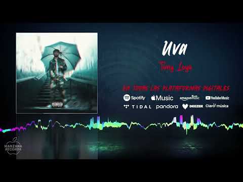 Tony Loya - Uva (Audio Oficial)