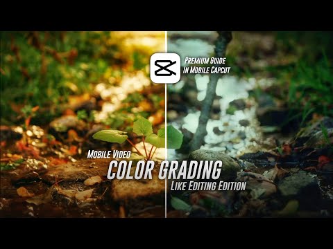 Color Grading like - EDITING EDITION in Capcut ( A-Z Color Grading for Beginners! )