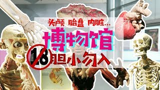 胆小勿入！勇士跟我们一起逛可能是最恐怖的博物馆 💀May be the most horrible Museum in Germany----Menschen Museum