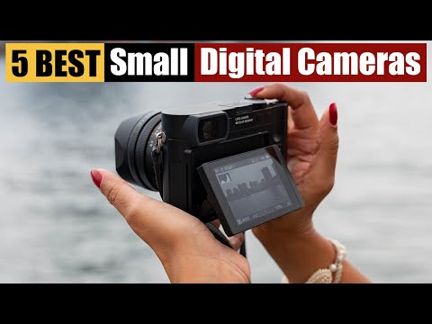 Best Small Digital Cameras of 2024