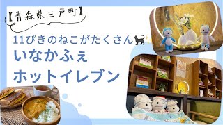 【青森県三戸町】11ぴきのねこがたくさんいるカフェ「いなかふぇ　ほっとイレブン」