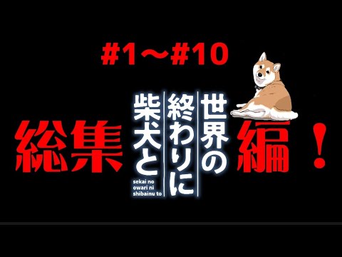 【総集編❗】イッキ見✨🐶＃1〜＃10🐶【世界の終わりに柴犬と】切り抜き  #世界の終わりに柴犬と  #アニメ #柴犬