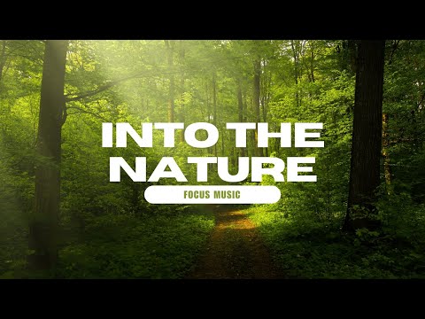 Relaxing Nature Sounds: Birds and Babbling Brook - Peaceful Water Flow for Stress Relief