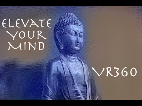 Elevate Your Mind - Try it for 10 mins a day