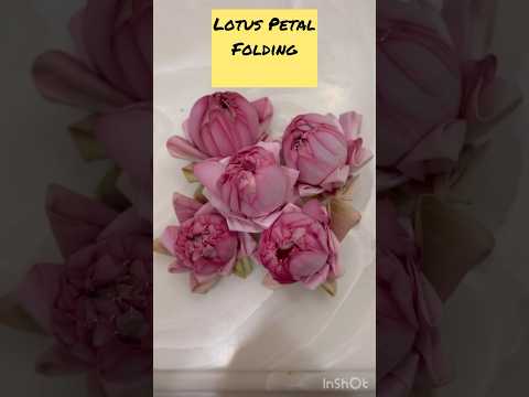 Folding  Lotus flower Petals /Easy /trendy /Beauty#