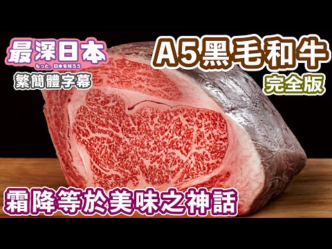 A5霜降和牛創造美味神話 | 日本頂級牛肉的起源【和食探究】【最深日本 中文繁簡體字幕】