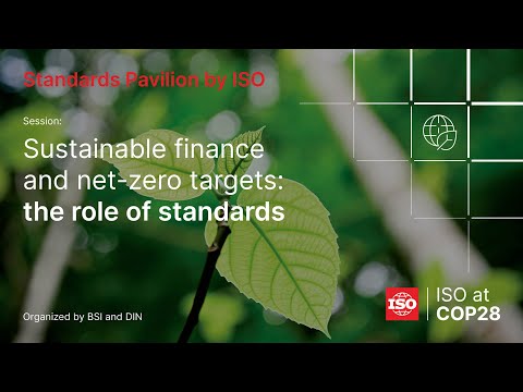 Sustainable finance and net-zero targets: the role of standards