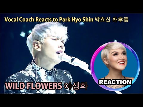 Vocal Coach Reacts to Park Hyo Shin「Wild Flowers」박효신 - 야생화｜國外聲樂老師點評 朴孝信《野花》パク・ヒョシン #parkhyoshin #박효신