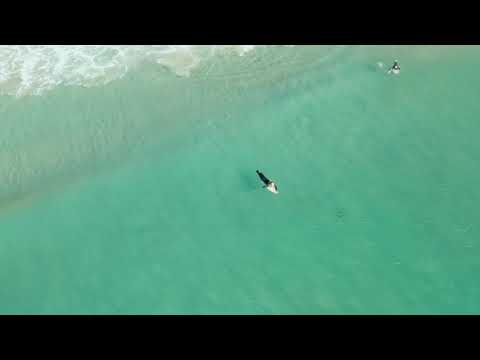 Drone Over Surfer | Copyright Free Video Footage