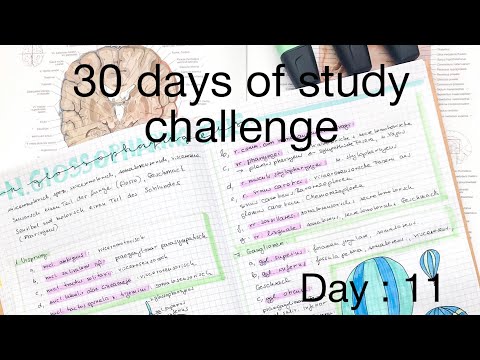 Day : 11/ 30 Days of study challenge/ My Lifestyle