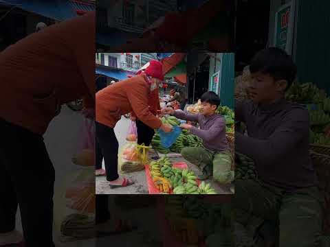 Harvest Big Bananas Go To Market Sell, Buy Ducklings To Raise. Living off grid in forest