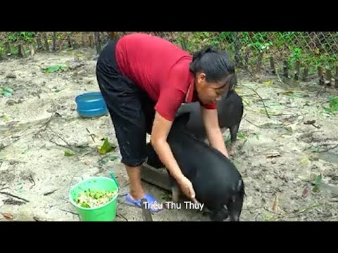 Full video 60 days of a single mother and how to cope with everyday life. - Triệu Thu Thùy.