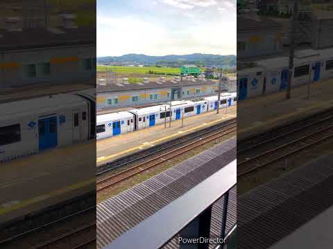 『国内初の交流電化方式の架線式蓄電池電車』#DENCHA #電車 #shorts