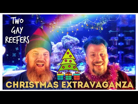 Christmas Extravaganza - Final Vid of 2018