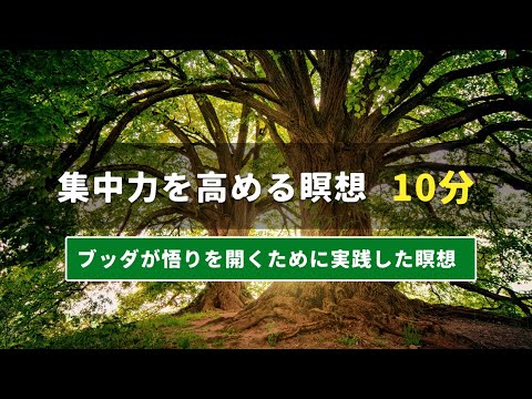 アナパナサティ瞑想 | 10分 | ブッダが悟りを開くために実践した瞑想