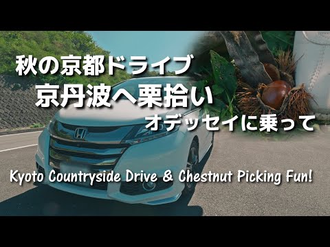 Exploring Japan’s Countryside: Relaxing Drive Through Kyoto Kyotamba with the Odyssey Hybrid