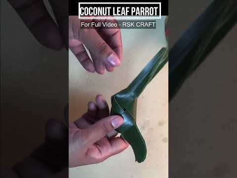 How To Make a Parrot  With Coconut Leaf | Coconut Leaf Art | DIY Craft | DIY Bird.# Shorts