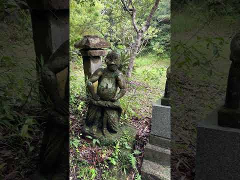 Amami Oshima - Gamouzakijinja Shrine【奄美大島・蒲生崎神社】