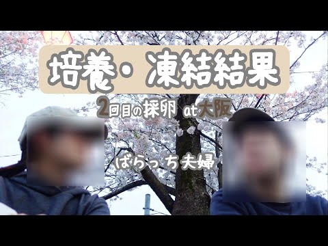 【不妊治療】PGT-Aできる？/胚盤胞はいくつ？/受精卵は11コ/培養・凍結結果のご報告/2回目の採卵/先進医療B/大阪に転院/進行流産後/自然排出/子宮筋腫/不育症/1人目妊活中