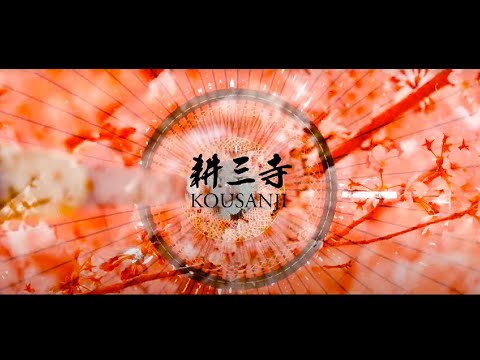 cinematic video temple japan |  耕三寺（尾道）シネマティックvlog