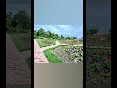 I visited a stunning French-style garden known as the Walled Garden at the Biltmore Estate, NC