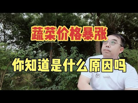 蔬菜价格暴涨，你知道是什么原因吗？