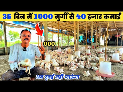 1000 मुर्गी पालन से कितनी कमाई | दुबई की नौकरी छोड़ शुरू किया बॉयलर मुर्गी फार्म | poultry farming