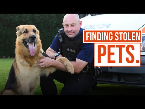 Hunting Drug Dealers and Pet Shop Thieves | Send In The Dogs UK | True Crime Central