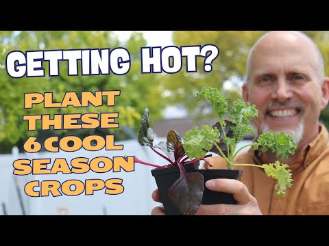 6 Cool Season Crops to Plant in May