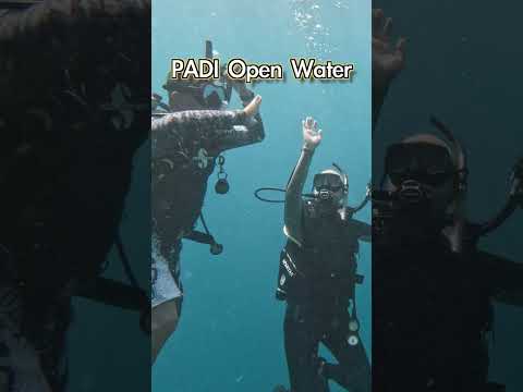 實在是太美了！在菲律賓的「私人島嶼」學潛水｜PADI Open Water｜ #shorts