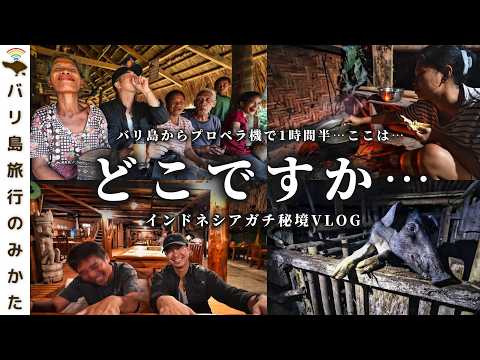 【ガチ秘境Vlog】バリ島から行けるスンバ島1泊2日の旅！これはちょっと…すごいぞ…！【バリ倶楽部】No.412