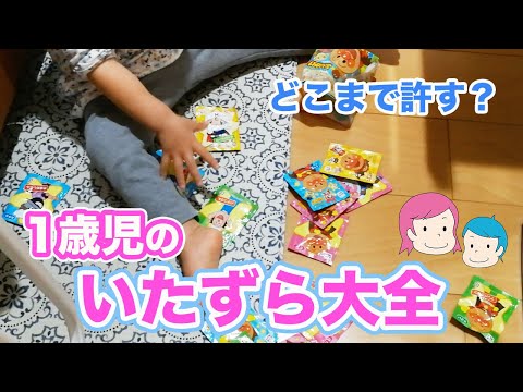 【自由すぎるぜ1歳児】好き放題の1歳児いたずら大全！