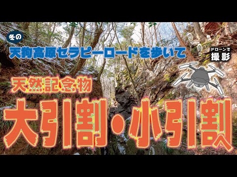 ドローンで撮影！天然記念物「大引割・小引割」Shoot with a drone! Natural monument "Oohikiwari / Kohikiwari"