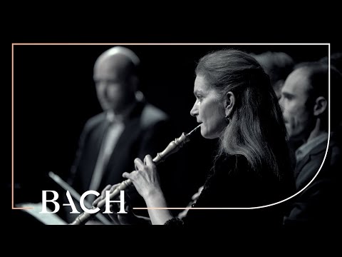 Bach - Adagio from 'Brandenburg' Concerto no. 1 in F major BWV 1046 | Netherlands Bach Society