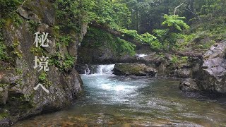 【渓流釣り】人が立ち寄らない川は凄かった