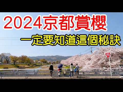 【日本旅遊】2024年日本京都櫻花季賞櫻全攻略🌸5大京都賞櫻景點推薦・京都賞櫻秘訣・京都自由行攻略・京都旅遊・日本自由行・哲學之道・蹴上・鴨川・伏見桃山・伏见十石舟・祇園白川・京都站4K