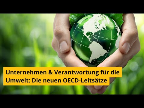 Unternehmen & Verantwortung für die Umwelt: Die neuen OECD-Leitsätze