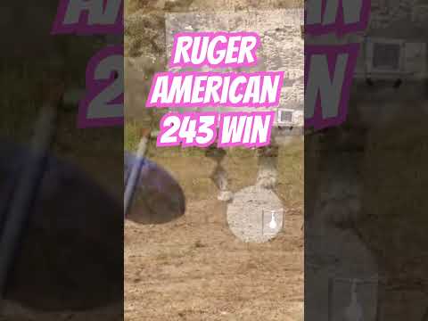 Ruger American 243 #ozziereviews #shooting #rifle #gun #firearms #ruger #243 #223 #308 #22lr #22mag