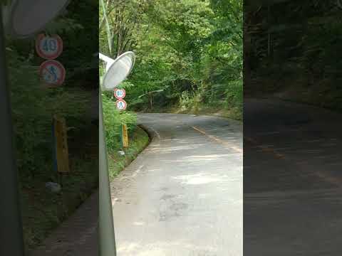 緑多い山道を進む #妖異達の通り雨 #長野県 #長野市 #バス #戸隠 #長野観光 #アルピコ交通 #たびその #チャンネル登録お願いします