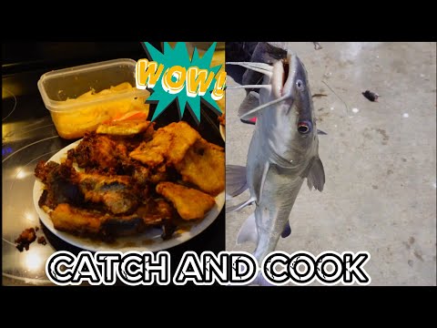 CATCH AND COOK | CAT FISH (FIRST TIME EATING CATFISH)