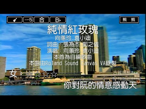 純情紅玫瑰-向蕙玲&袁小迪(Karaoke伴奏)