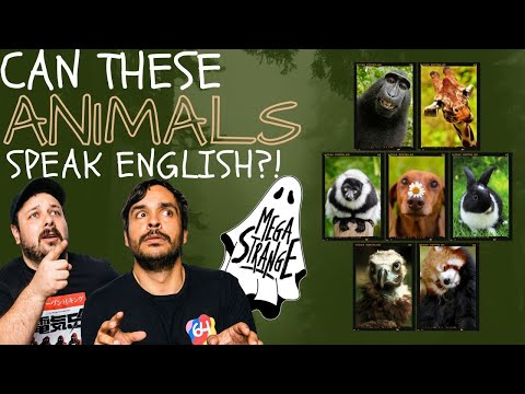 Talking Animals - Mega Strange Ep. 81