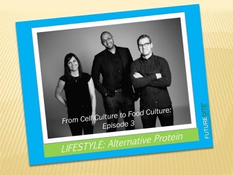 From Cell Culture to Food Culture Episode 3  Growing a Food Tech Company