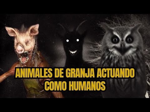 4 Nuevas historias de animales actuando como humanos.