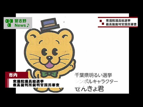 衆議院議員総選挙　最高裁判所裁判官国民審査(市長News 24.11/11(月))①